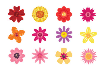 Colorful Flower Icons Set vector illustration