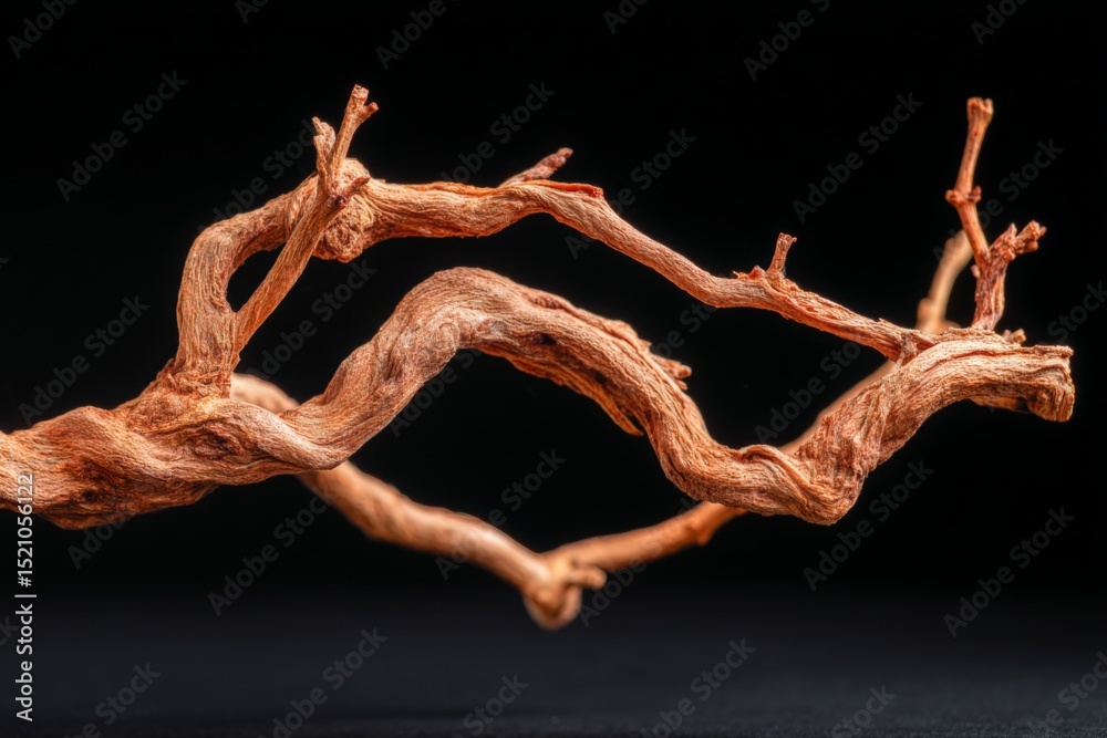 Poster Detailed close-up of an intricate twisted branch against a dark background showcasing natural texture and color variations