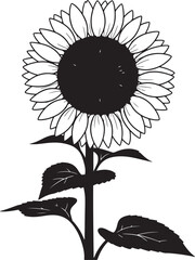 Plants and flowers Silhouette vector image
