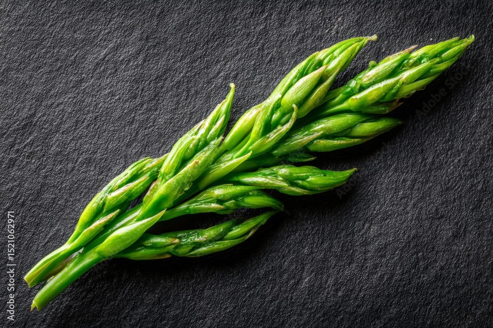 Poster freshly harvested asparagus stalks displayed on a dark stone surface showcasing their vibrant green 