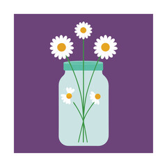 Daisies in a Clear Mason Jar Illustration