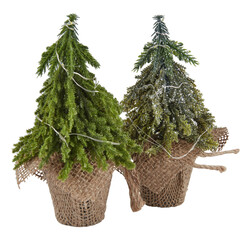 Pair of Christmas trees in a mesh bag cut out isolated transparent background