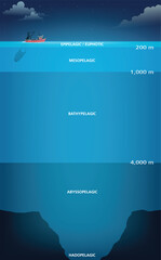 illustration of Ocean Zones Diagram