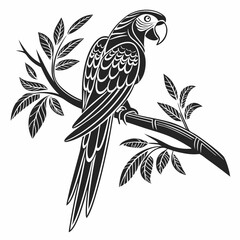 black and yellow macaw