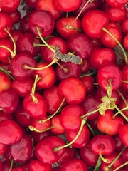 Cerezas