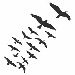 birds in flight