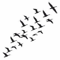 silhouettes of airplanes