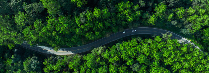 Electric cars to protect the environment and transportation road of Top view road in beautiful Rain forest with natural background
