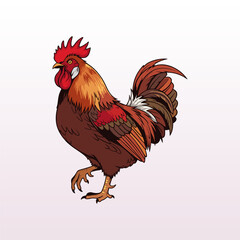 vector illustration of a rooster on a pink background	
