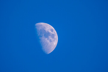 Waxing gibbous moon in a deep blue evening sky. Detailed surface texture captured through a telescope. Peaceful and minimalist night sky astronomy scene.
