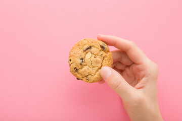 Young adult woman hand fingers holding and showing dry cookie with chocolate pieces on light pink table background. Pastel color. Closeup. Sweet snack. Top down view.