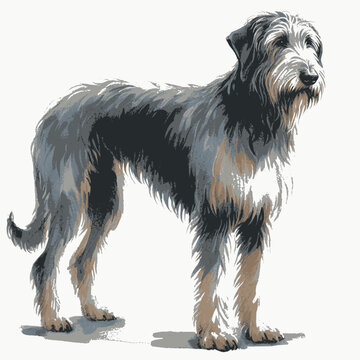 Mist-Woven Guardian dog Irish Wolfhound isolated watercolor vector illustration svg