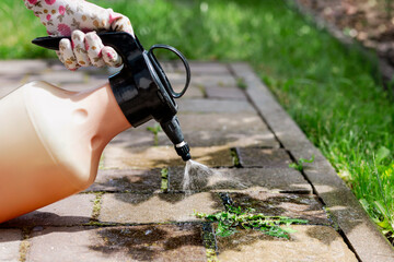 Weed Killer Spray and Solutions. Spraying Weeds in Paving Slab Blocks. Get Rid of Weeds or Remove...