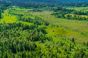 Das Obernacher Moos, eine Moorlandschaft am Staffelsee zwischen Murnau und Bad Kohlgrub von oben