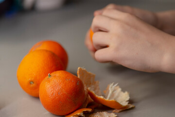 Two bright and fresh oranges sitting with their peels intact, while hands are getting ready to...