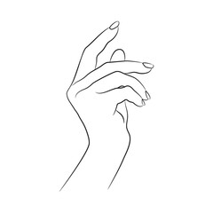 Hand drawn female hand. Human hand outline. Elegant hand gesture. Vector illustration