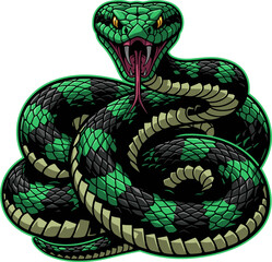 Green snake on white background