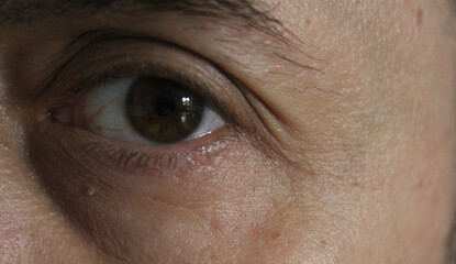 Sguardo intenso di un bel ragazzo - occhi castani