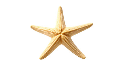 starfish isolated on solid white background 
