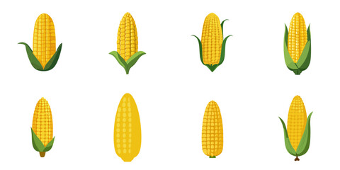 Multiple vector illustrations corn, flat style
