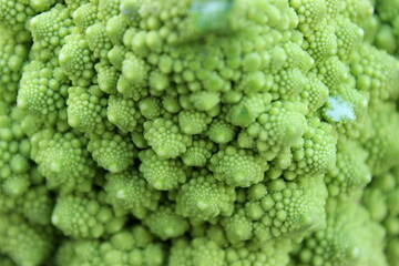Romanesco Brokkoli