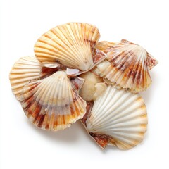 Obraz premium Raw scallops isolated on clean white background