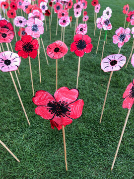 Field of coloured paper memorial poppies.