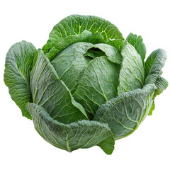 Cabbage green head isolated on transparent background. PNG.