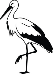 White stork bird black and white illustration