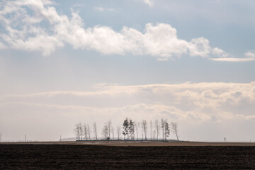 Village Сemetery with Silhouettes of rare Trees on the Edge of a Field in a Snowstorm