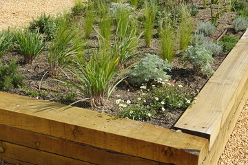 Raised garden bed with integrated irrigation system promoting sustainable urban farming
