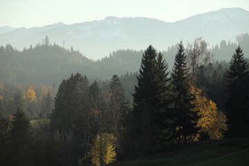 Mountain range with trees in the foreground and a sky in the background