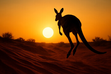 Kangaroo wildlife nature sunset silhouette desert animal jump orange sky wild