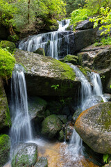 Obraz premium Water cascading down mossy rocks in the Jizera Mountains, Czechia