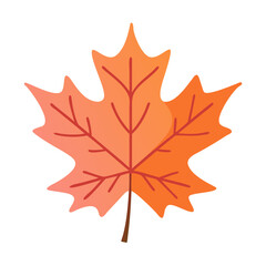 Orange autumn maple leaf icon in stylized cartoon design