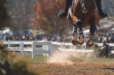 Fototapeten Horse jumping equestrian sport in outdoor setting © andyaziz6