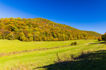 Colorful autumn forest covering the hills in Borka, Slovakia