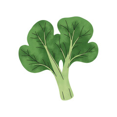 Watercolor celery isolated on white