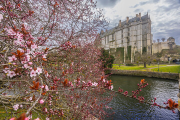 Chateau de Chateaudun rising above Loir river and pink blossoming tree in spring, Eure et Loir,...