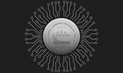 Lari - Central Bank Digital Currency – Government-Issued Virtual Money and Financial Regulation