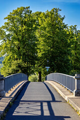 Fototapeta premium The Linden Alley between Herleshausen and Lauchröden in the Werra Valley