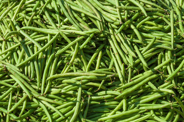 Frische grüne Buschbohnen auf einem Marktstand, Deutschland