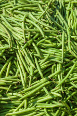 Frische grüne Buschbohnen auf einem Marktstand, Deutschland