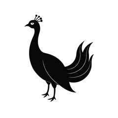 Fototapeta premium peacock isolated on white