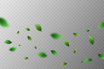 Flying green leaves.Fresh summer plant pattern.Vector illustration.On a transparent background.