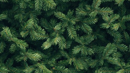 Fototapeta premium A repeating pattern of lush green Christmas tree leaves, arranged to form a seamless design, perfect for holiday themes