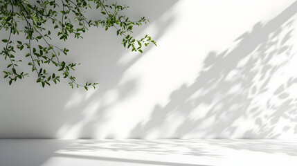 Natural green shadow play on white background minimalist aesthetic indoor setting artistic concept