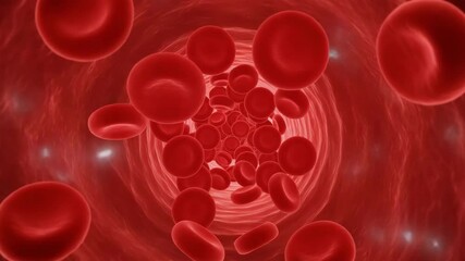 Red blood cells flowing inside a blood vessel in a human body   - Powered by Adobe