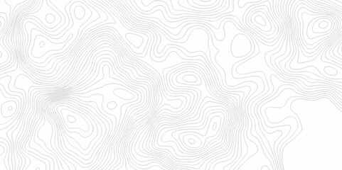 Abstract topography pattern seamless lines sea map modern design white background. Abstract digital topographic contour map concept space geometric strip grid line. Natural discovery of maps.	