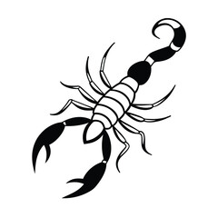 scorpion isolated on white background